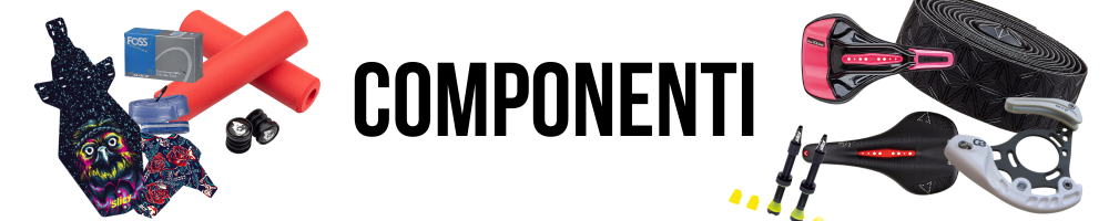 Componenti